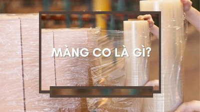 Màng Co Là Gì? Ứng Dụng, Phân Loại Và Ưu Nhược Điểm Cần Biết