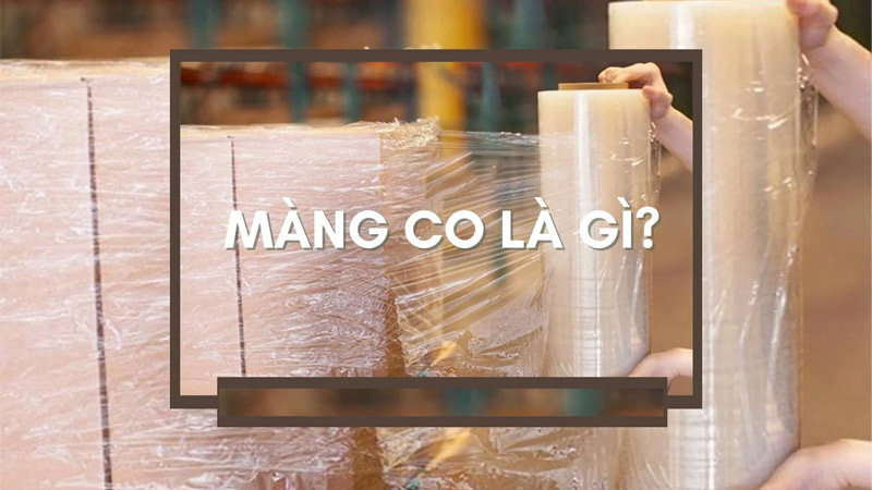 màng co là gì